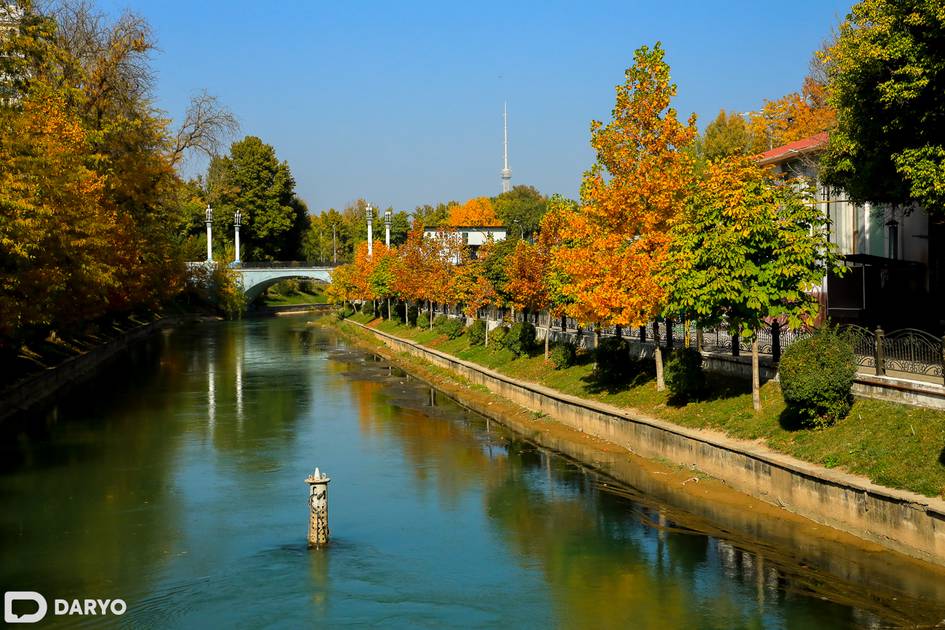 Ўзбекистонда 12 ноябрь куни ҳарорат яна кўтарилади